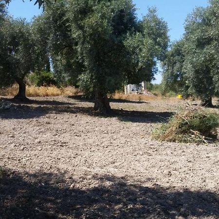 סורסו Serra Niedda Resort & Agriturismo מראה חיצוני תמונה