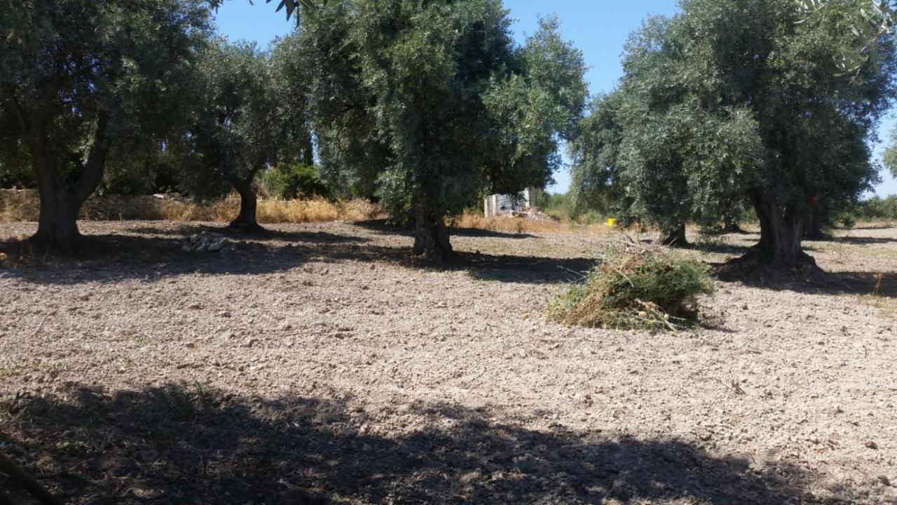 סורסו Serra Niedda Resort & Agriturismo מראה חיצוני תמונה