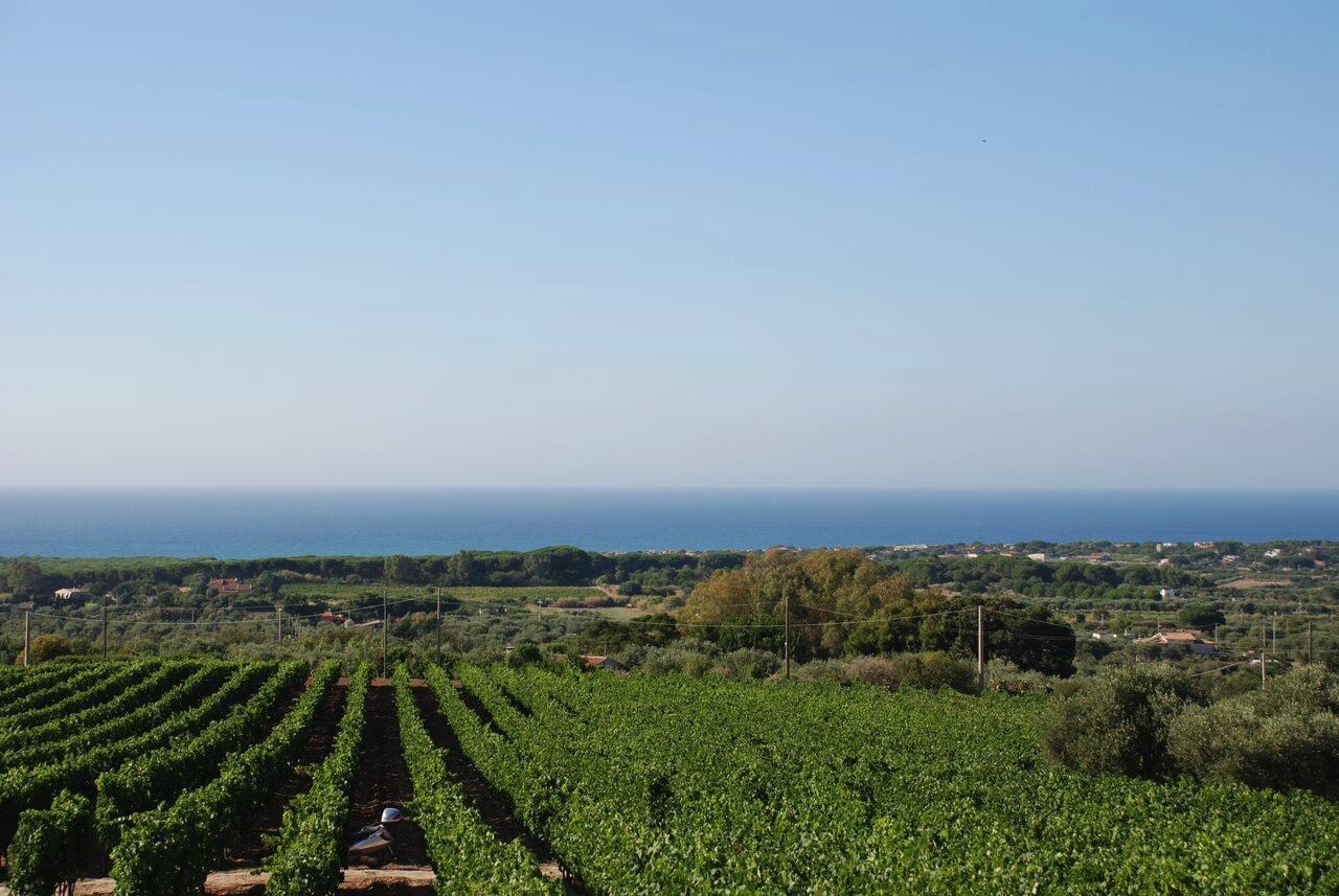 סורסו Serra Niedda Resort & Agriturismo מראה חיצוני תמונה