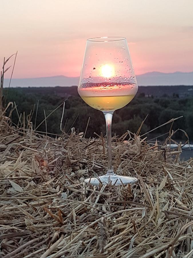 סורסו Serra Niedda Resort & Agriturismo מראה חיצוני תמונה